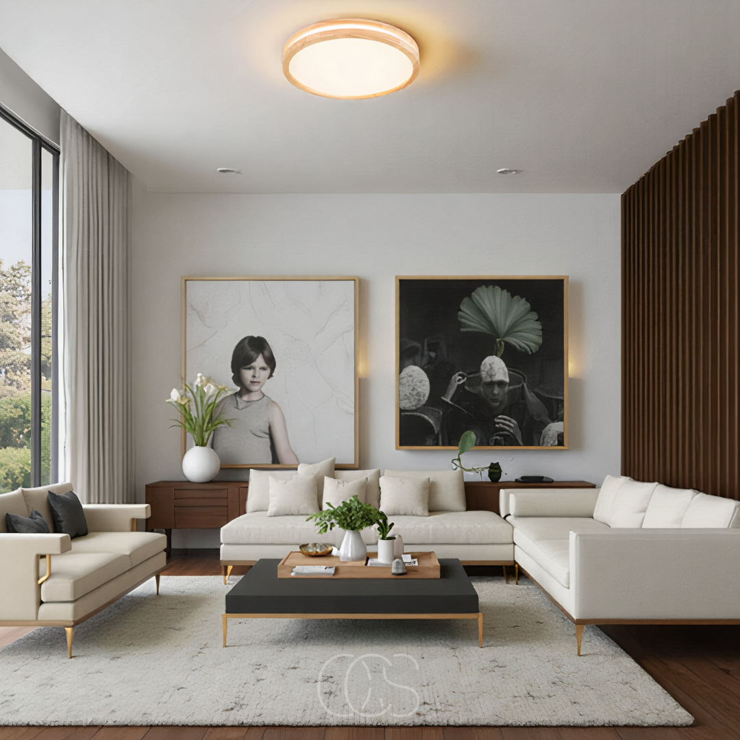 Anakre - Basic modern LED ceiling lamp