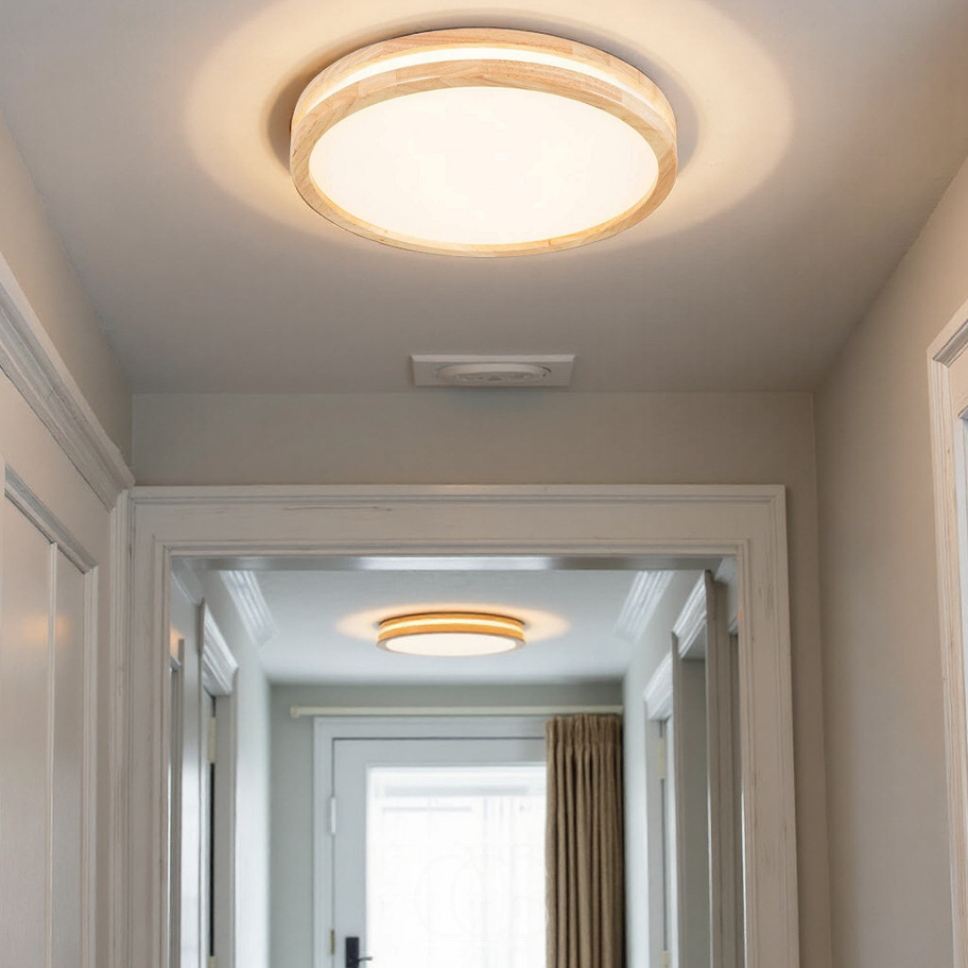 Anakre - Basic modern LED ceiling lamp