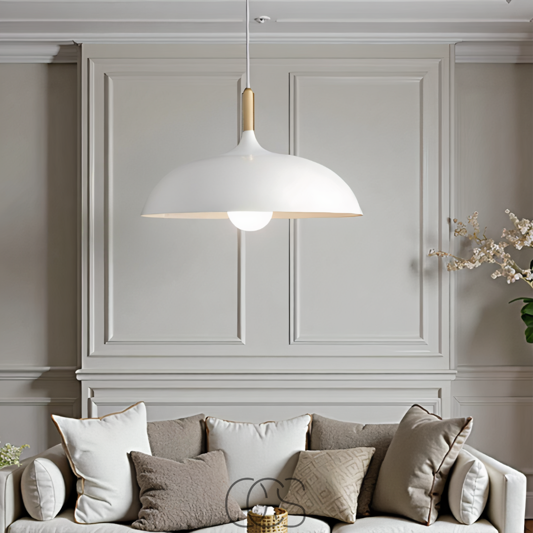 Anakre - Modern Matte Black Ceiling Lamp