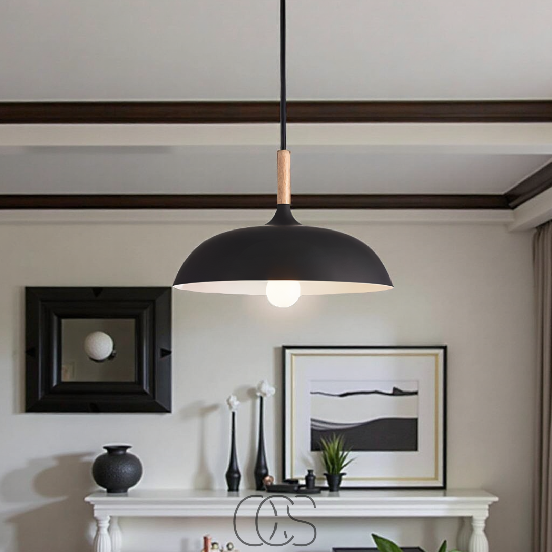 Anakre - Modern Matte Black Ceiling Lamp