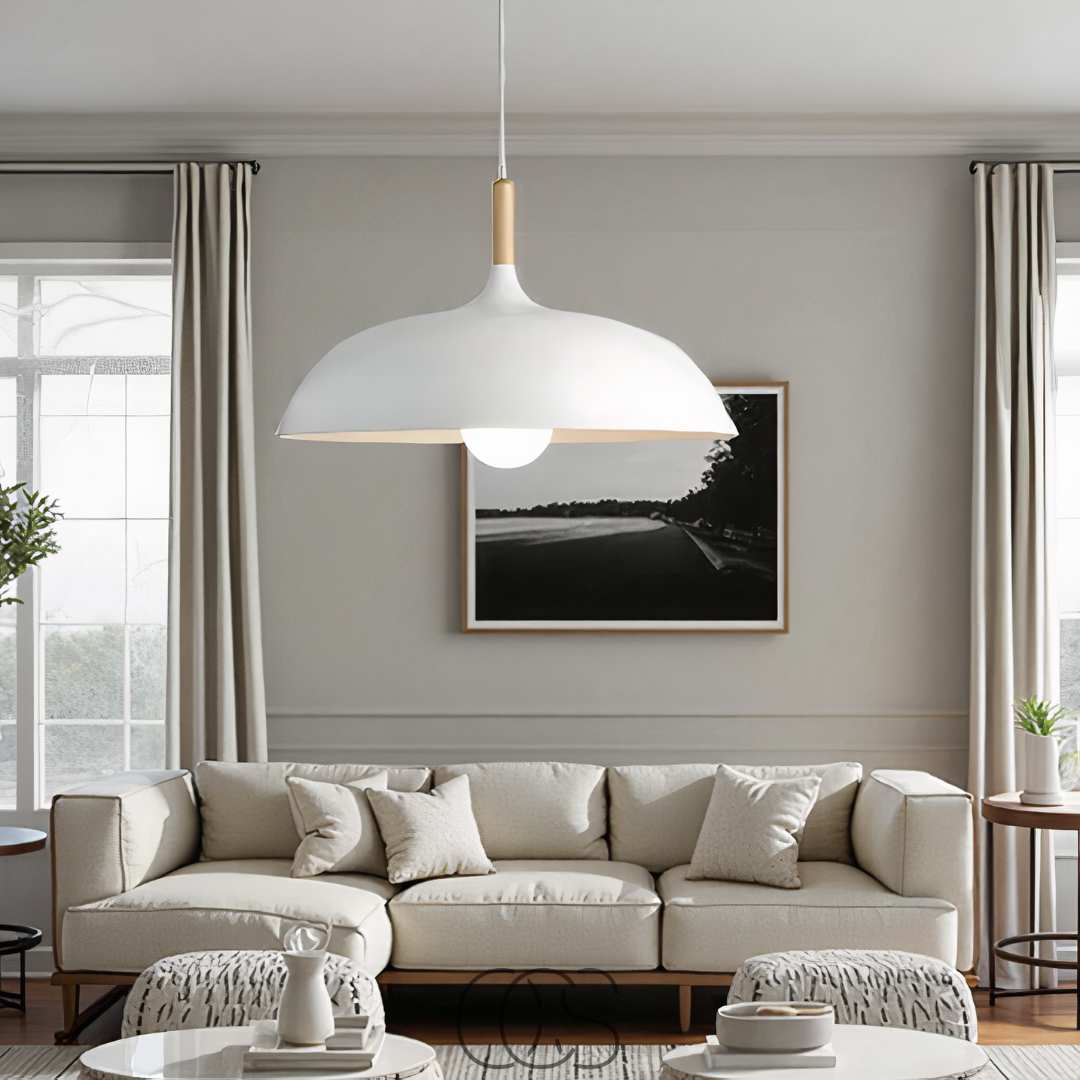 Anakre - Modern Matte Black Ceiling Lamp