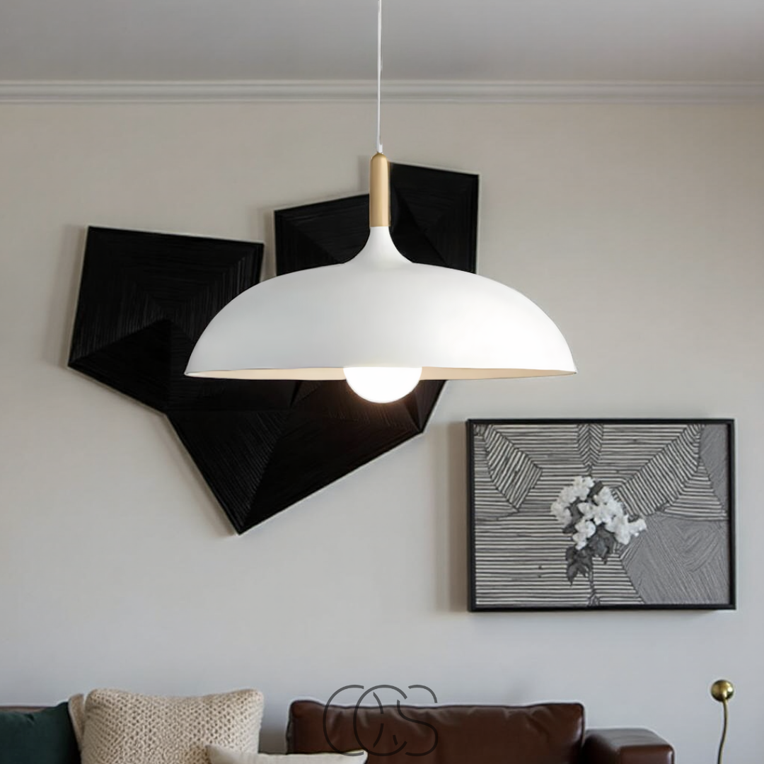 Anakre - Modern Matte Black Ceiling Lamp