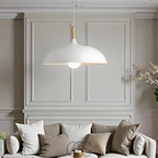 Anakre - Modern Matte Black Ceiling Lamp