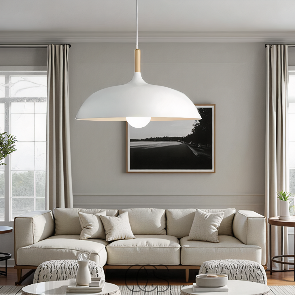 Anakre - Modern Matte Black Ceiling Lamp