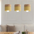 NovaLinea Chic Pendant Light for Modern Interiors and Homes